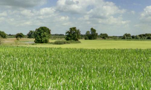 kamer_beganegrond_02